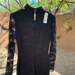 Black Bebe Body Con Lace Dress